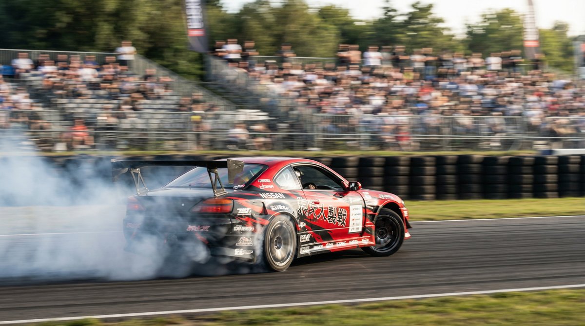 母狗官网汽车解说视频